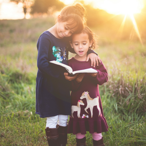 Visualize your family history with Ancesvibe