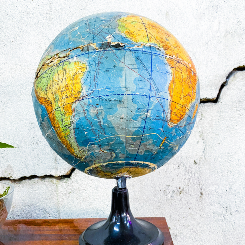 Uncover ancestry insights and heritage trends